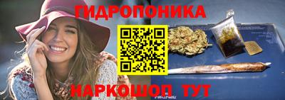 сатива Славгород