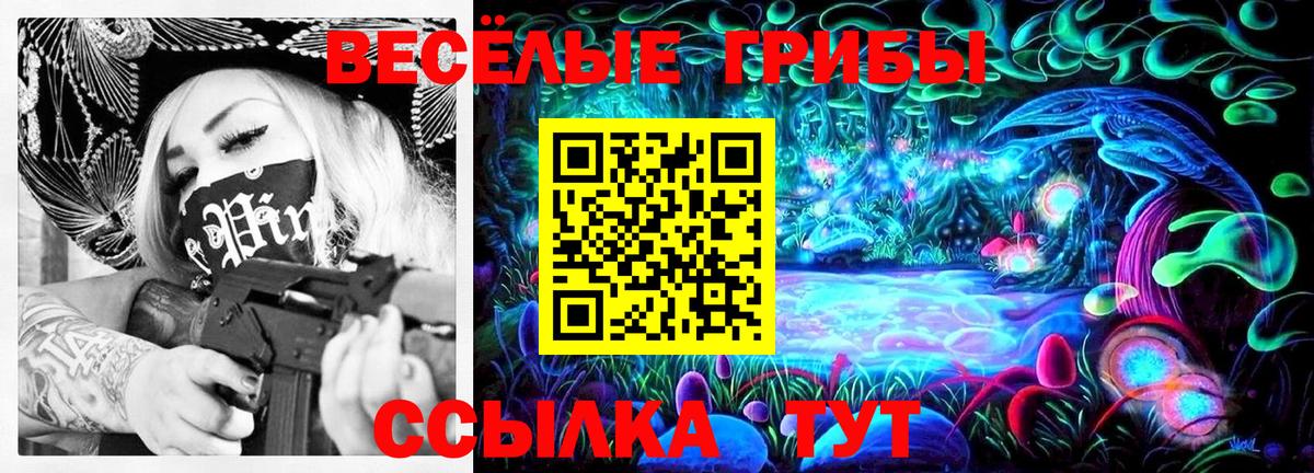 Галлюциногенные грибы Psilocybine cubensis Обь