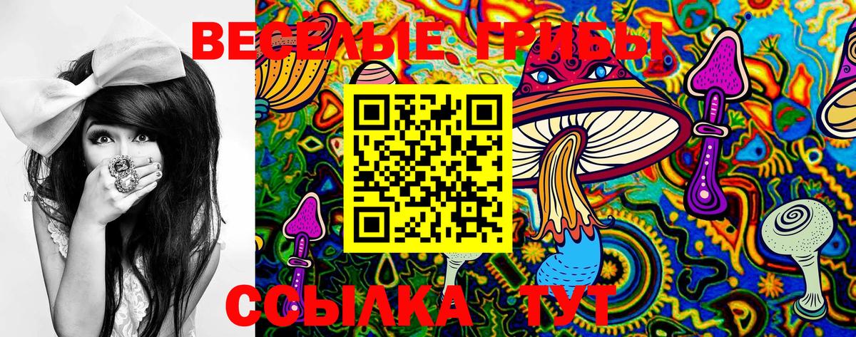Обь  Псилоцибиновые грибы Magic Shrooms  Вход с VPN  Галлюциногенные грибы Psilocybine cubensis 